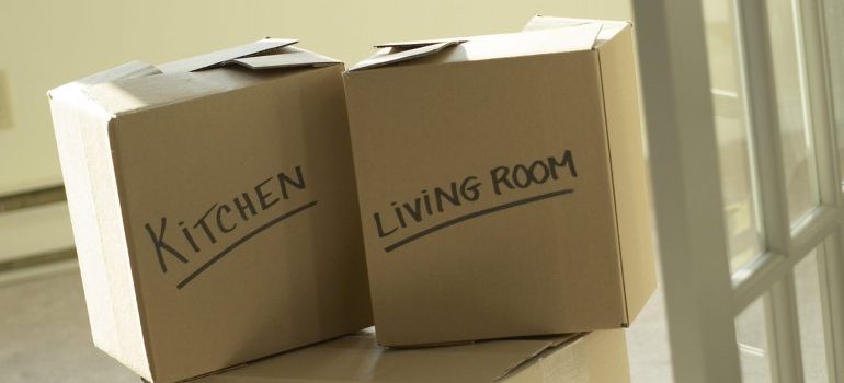 labeled moving boxes