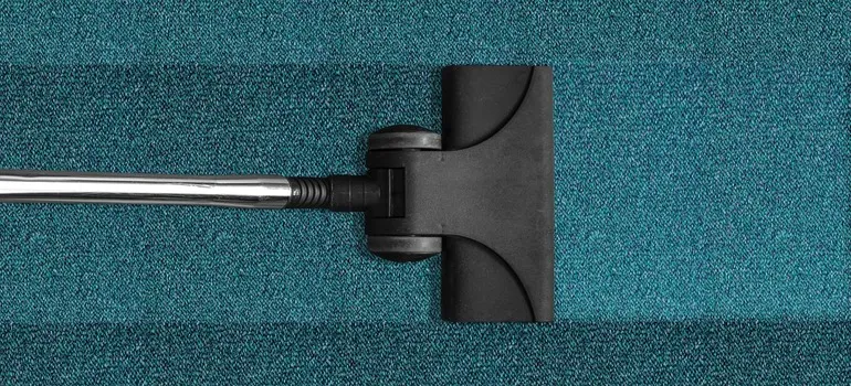 cleaning the carpet