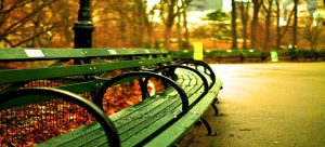 places to relax in New York City - a bench