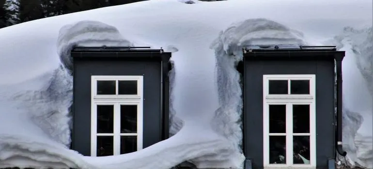 attic snow