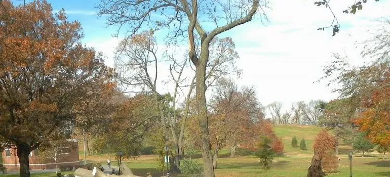 Brooklyn park