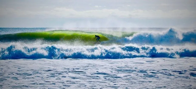 A man surfing on the sea