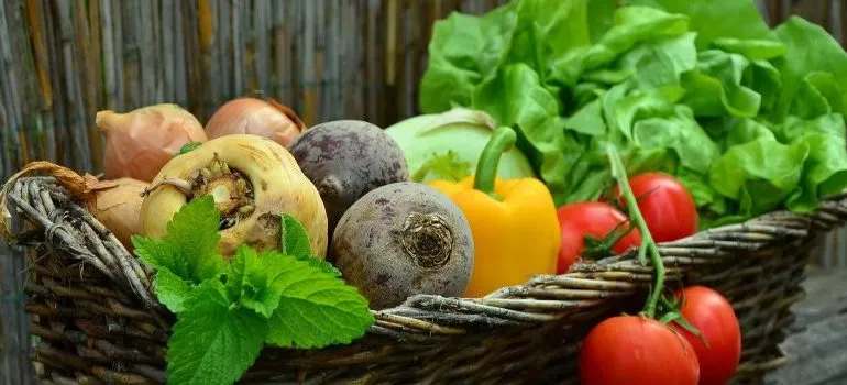 vegetables