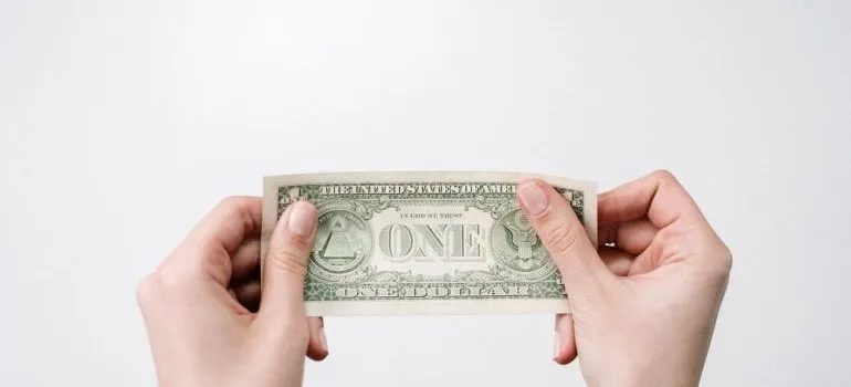 -one dollar bill