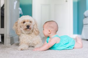 baby with a dog - moving with an infant