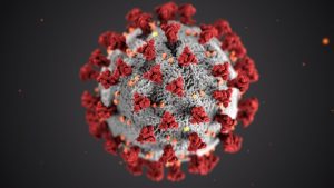 coronavirus - relocate interstate during the pandemic