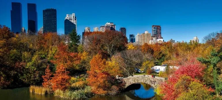 adapt to the NYC lifestyle after a move, Central Park