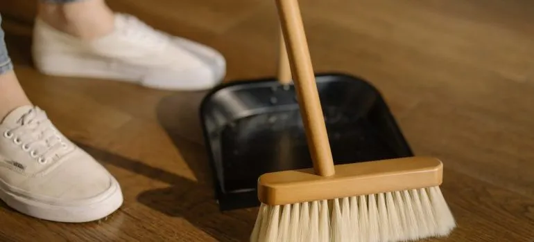 Girl cleaning the living room