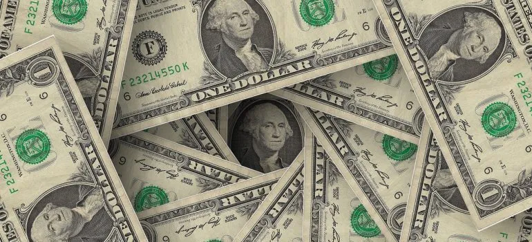 dollars 