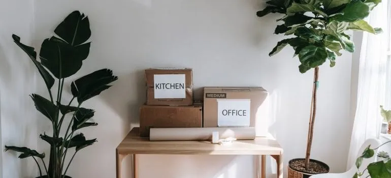 Packed cardboard boxes.