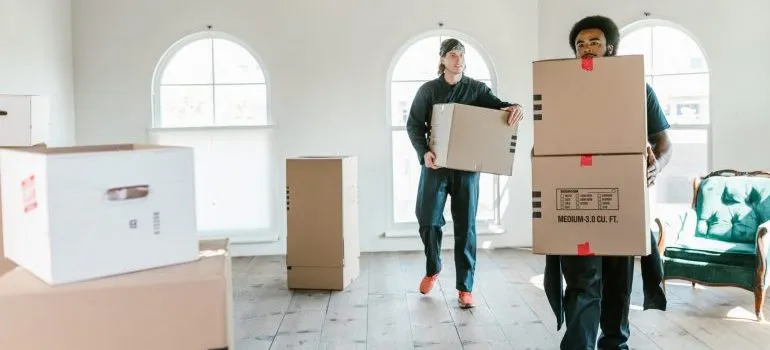 Movers carry boxes